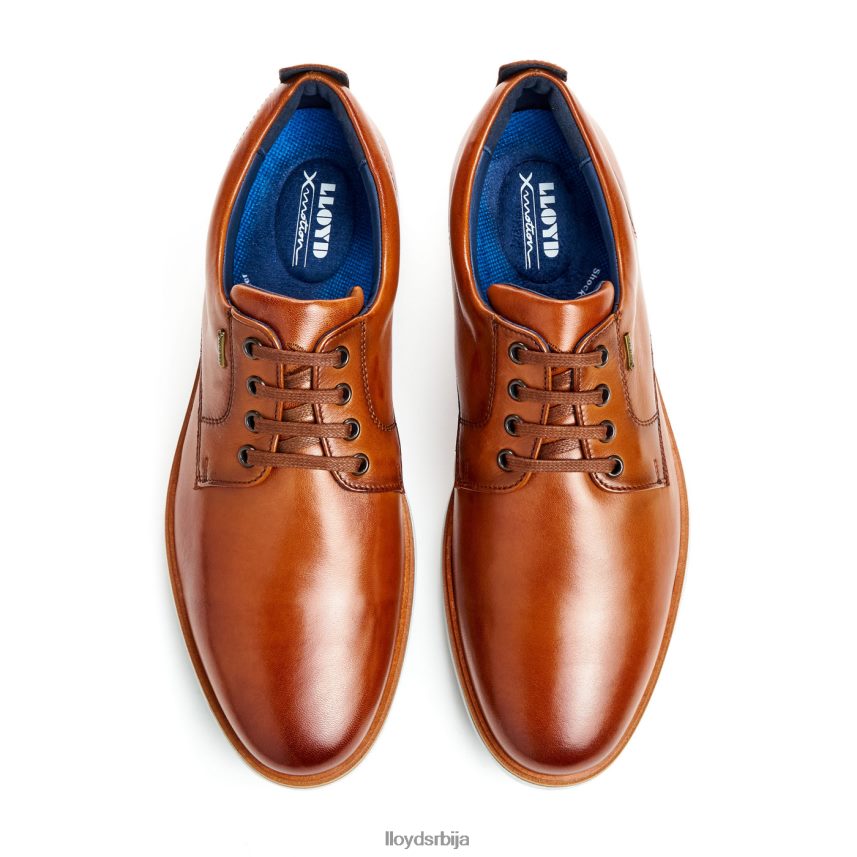 вин мушкарци D0806T139 ципеле браон LLOYD