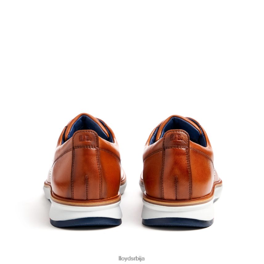 вин мушкарци D0806T139 ципеле браон LLOYD