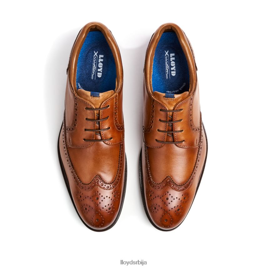 мариан мушкарци D0806T141 ципеле браон LLOYD