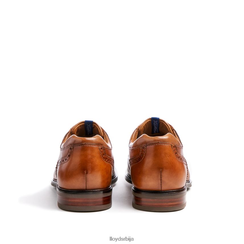 мариан мушкарци D0806T141 ципеле браон LLOYD