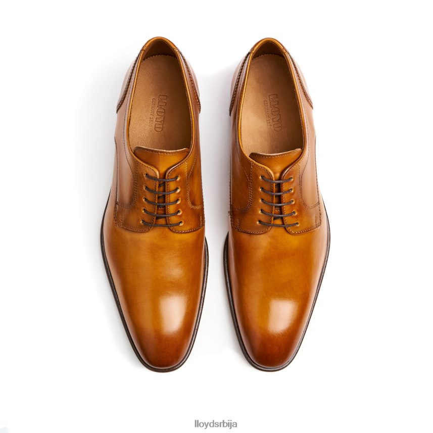 падос мушкарци D0806T152 ципеле браон LLOYD