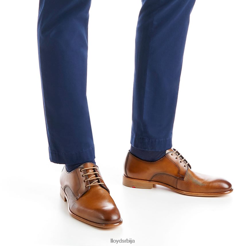 саигон мушкарци D0806T158 ципеле браон LLOYD