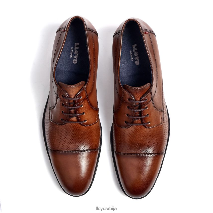 фолцо мушкарци D0806T15 ципеле браон LLOYD