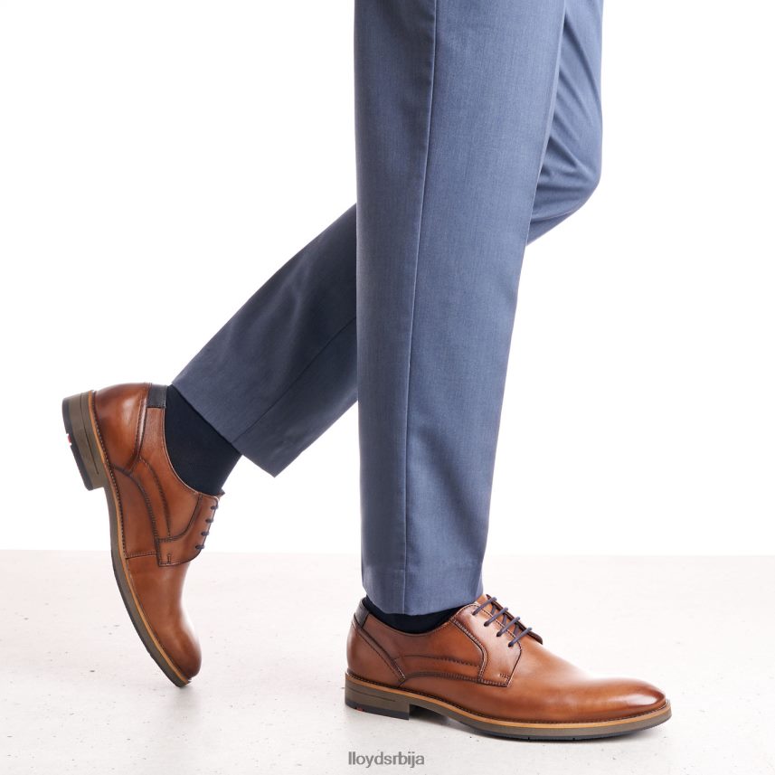 халдан мушкарци D0806T172 ципеле браон LLOYD