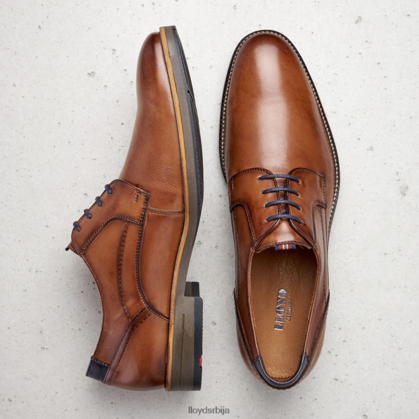 халдан мушкарци D0806T172 ципеле браон LLOYD