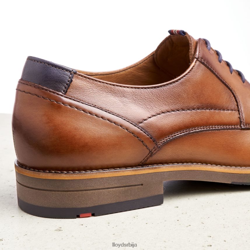 халдан мушкарци D0806T172 ципеле браон LLOYD