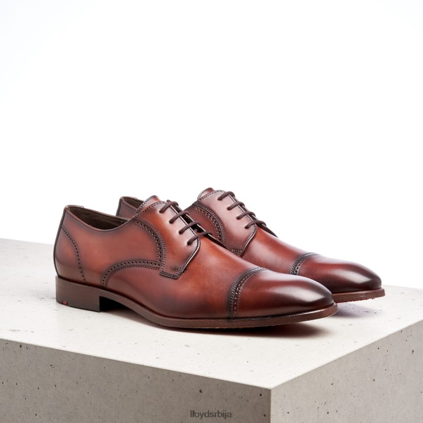 перри мушкарци D0806T177 ципеле браон LLOYD