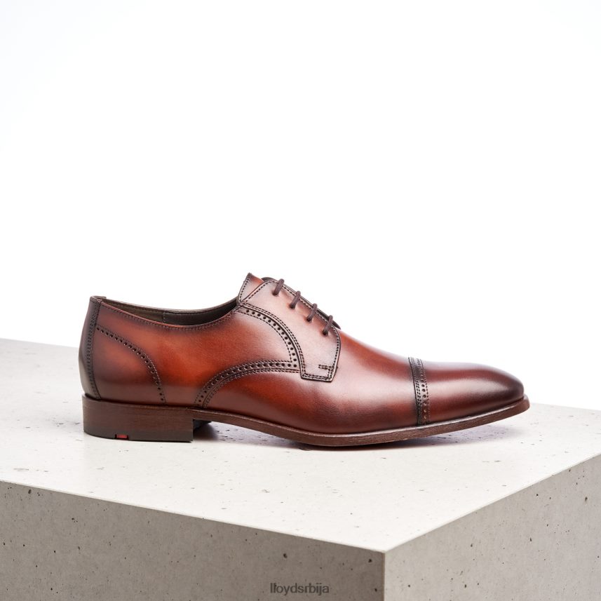 перри мушкарци D0806T177 ципеле браон LLOYD