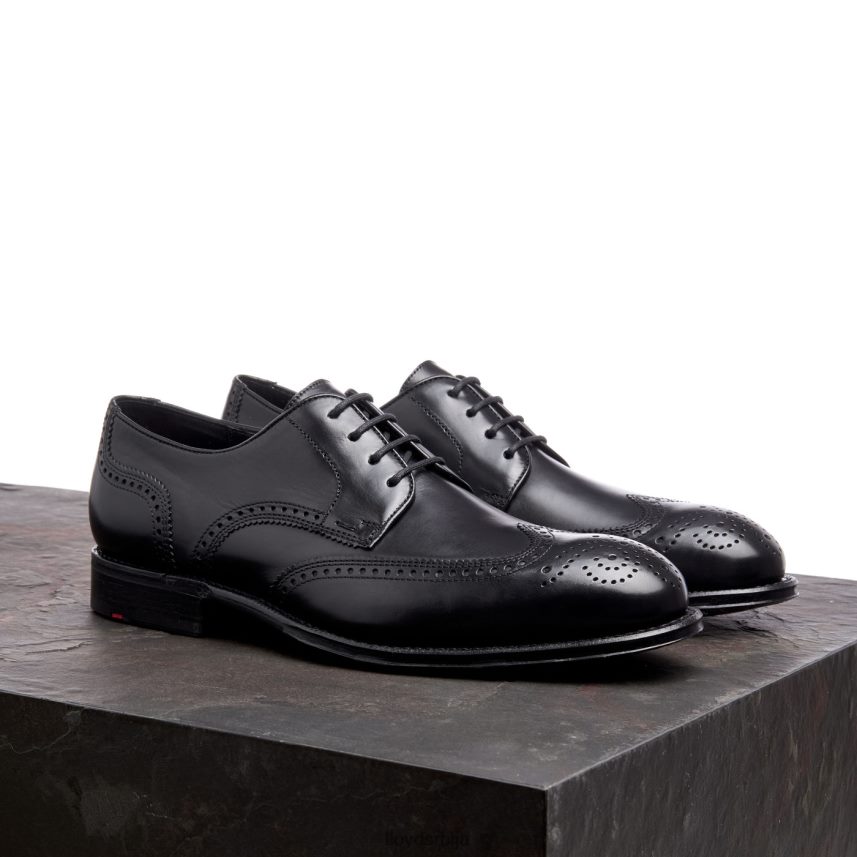 варвицк мушкарци D0806T18 ципеле црн LLOYD