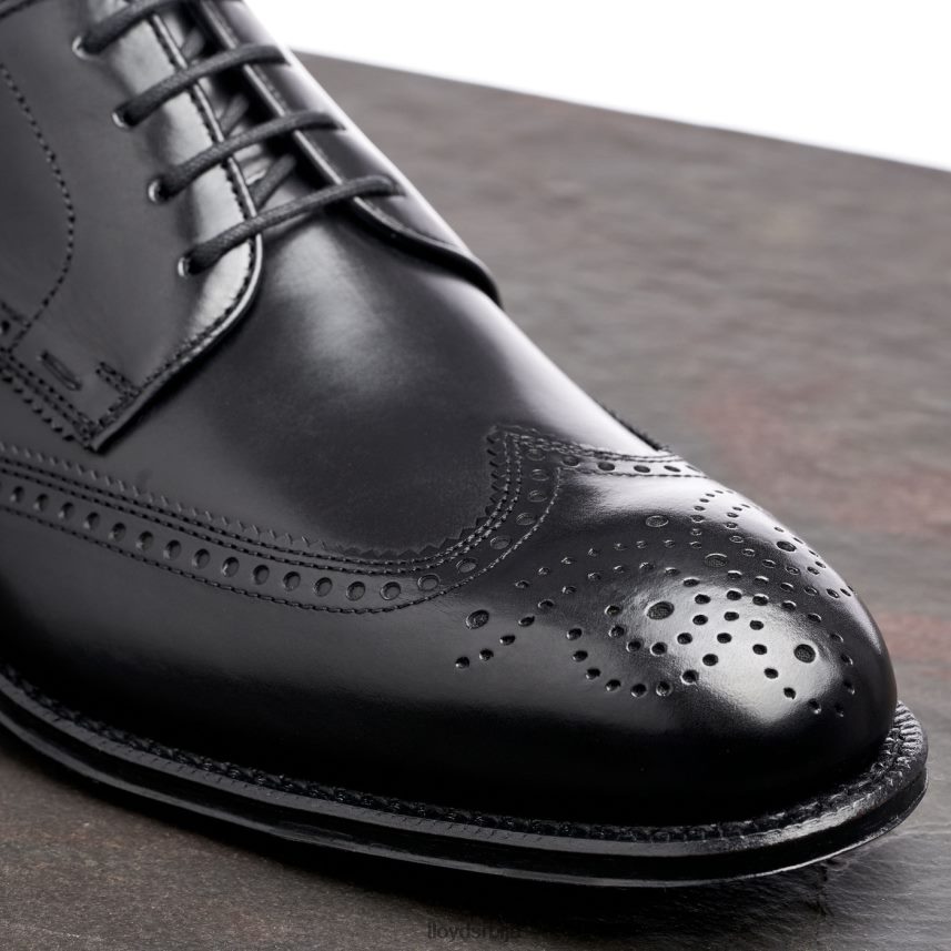 варвицк мушкарци D0806T18 ципеле црн LLOYD