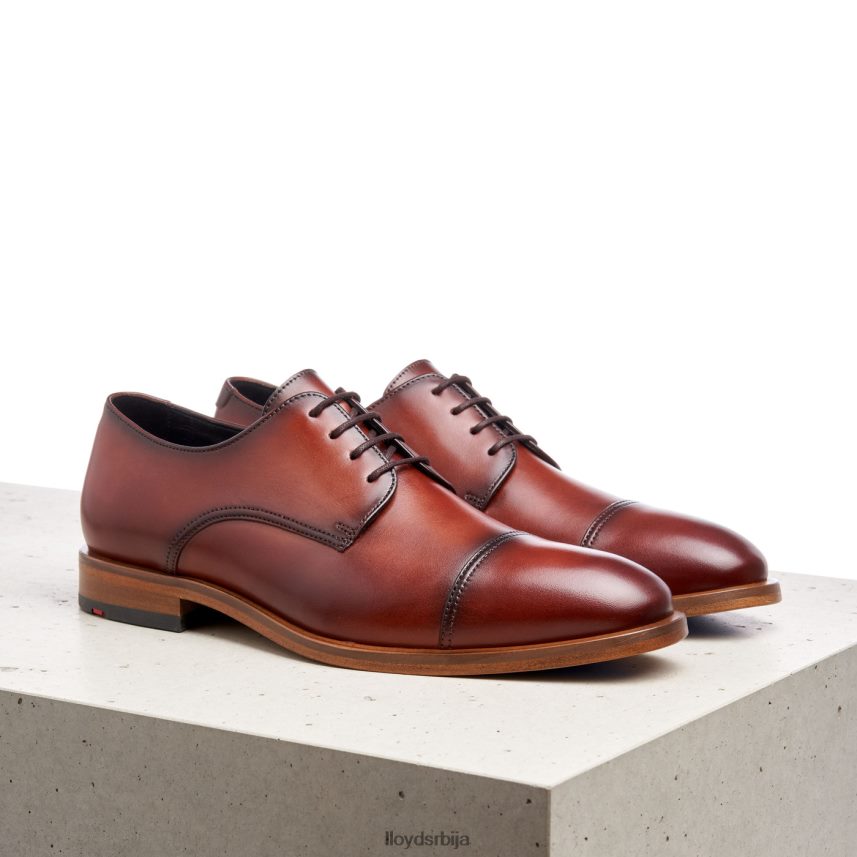 роднеи мушкарци D0806T195 ципеле браон LLOYD