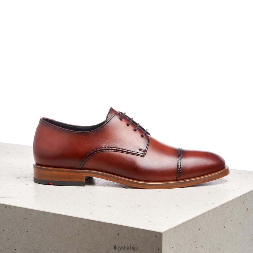 роднеи мушкарци D0806T195 ципеле браон LLOYD