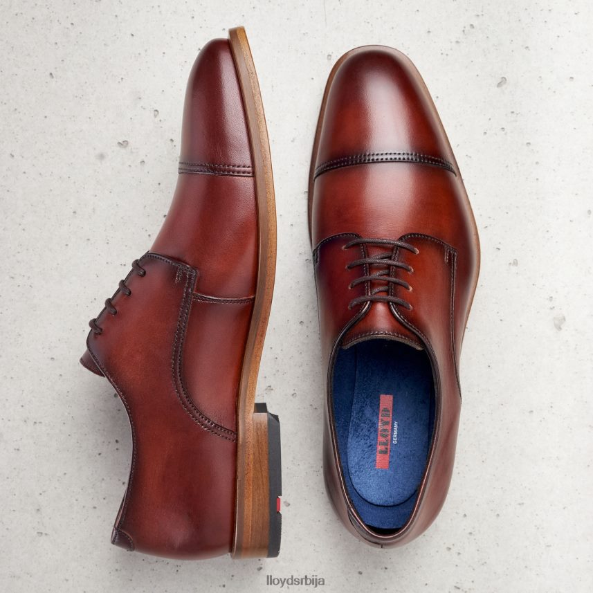 роднеи мушкарци D0806T195 ципеле браон LLOYD