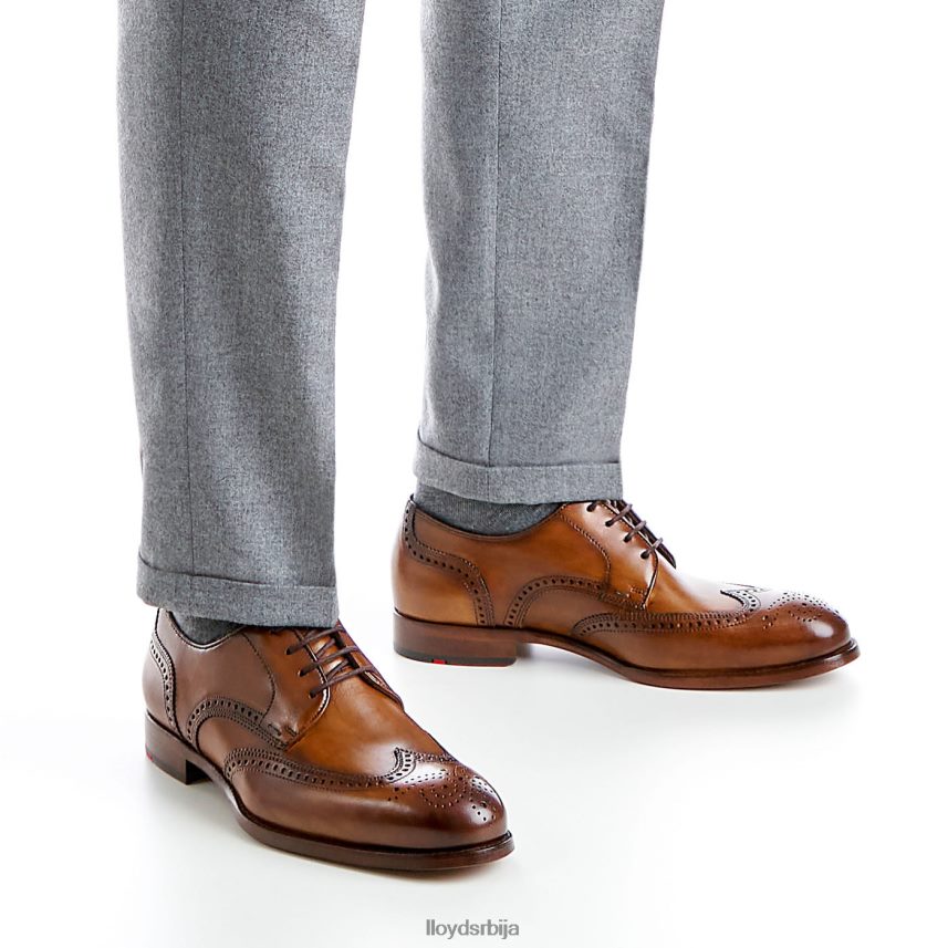 схеридан мушкарци D0806T205 ципеле браон LLOYD