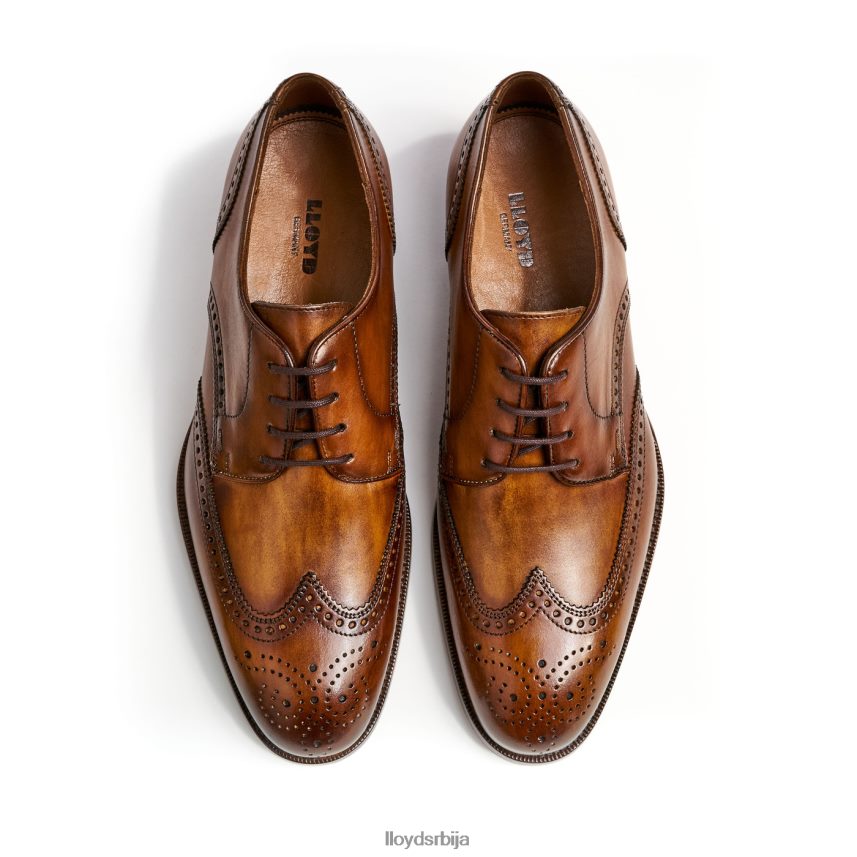 схеридан мушкарци D0806T205 ципеле браон LLOYD