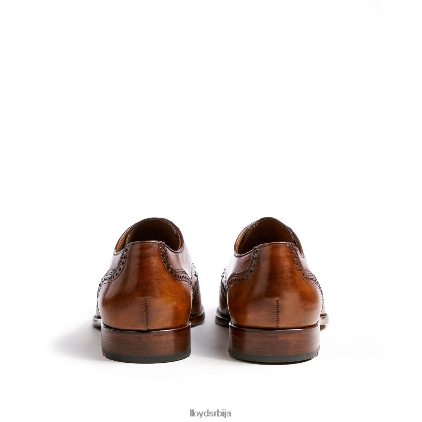 схеридан мушкарци D0806T205 ципеле браон LLOYD