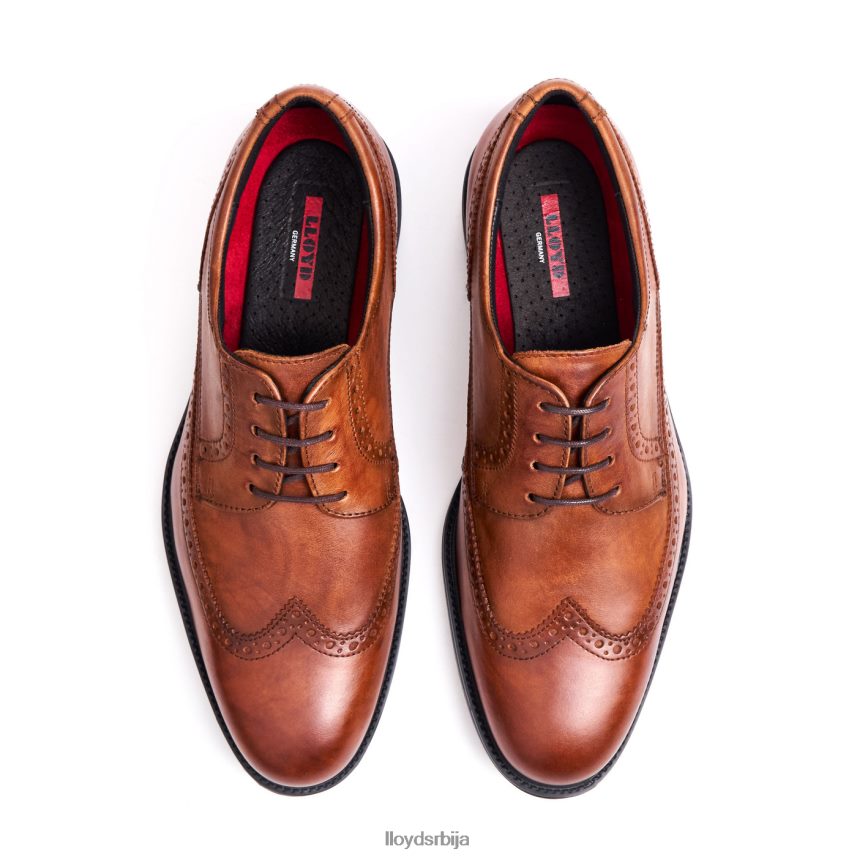 калеб (ктравиде) мушкарци D0806T20 ципеле браон LLOYD