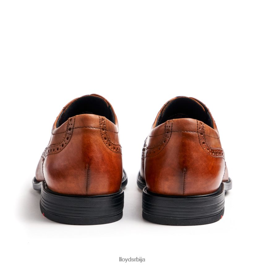 калеб (ктравиде) мушкарци D0806T20 ципеле браон LLOYD