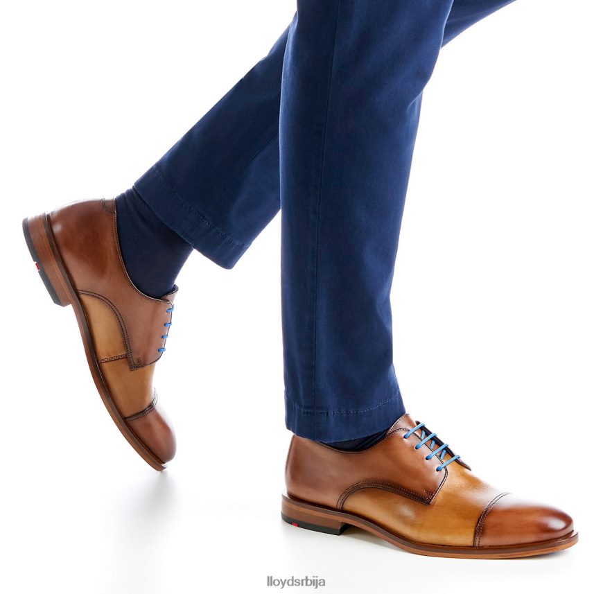 рицк мушкарци D0806T216 ципеле браон LLOYD