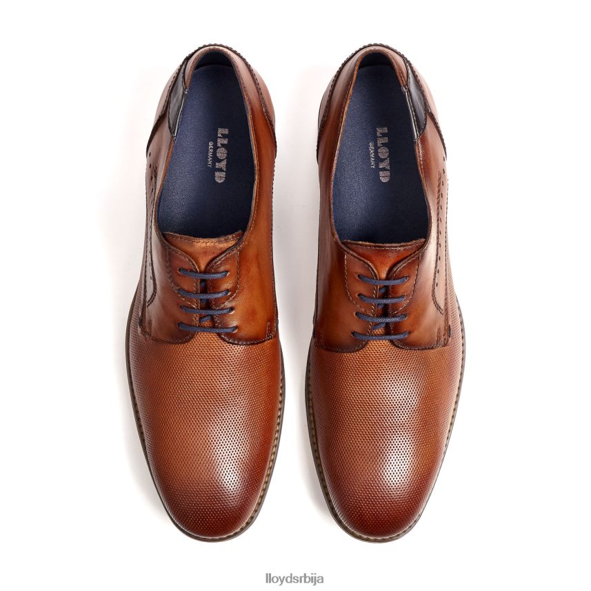 намир мушкарци D0806T217 ципеле браон LLOYD