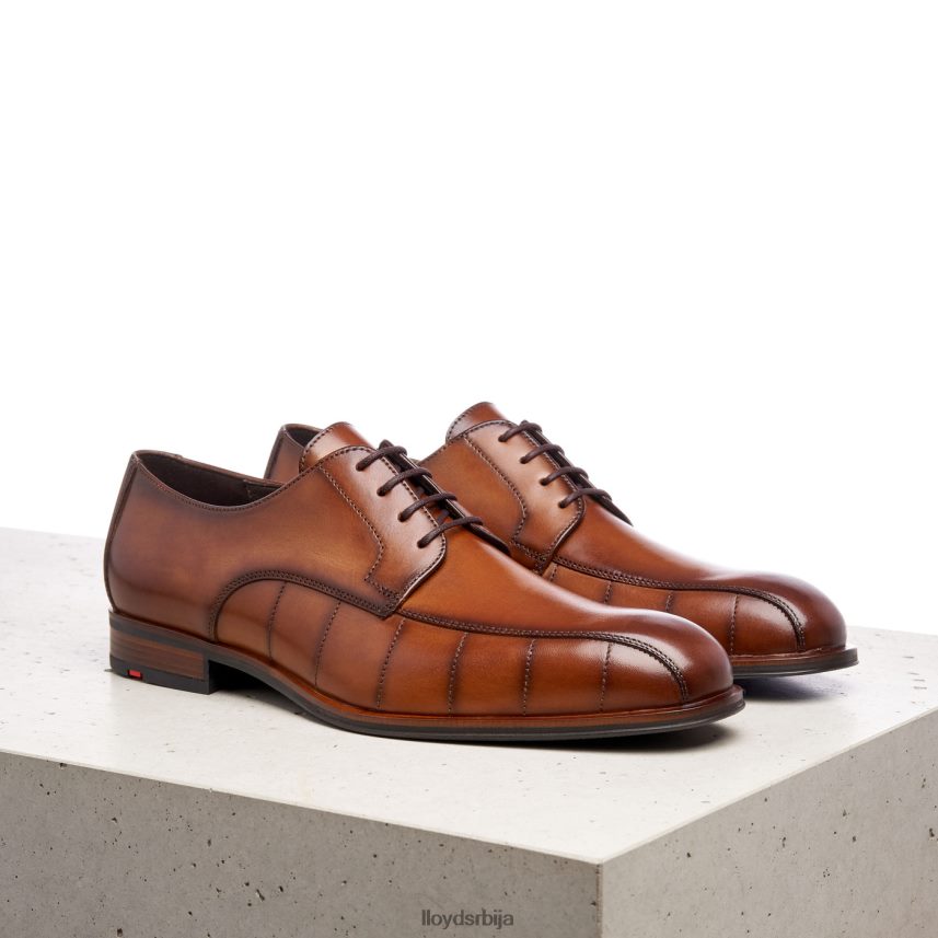 поздрав мушкарци D0806T224 ципеле браон LLOYD