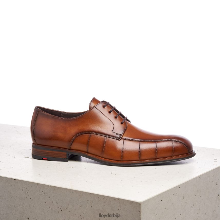 поздрав мушкарци D0806T224 ципеле браон LLOYD