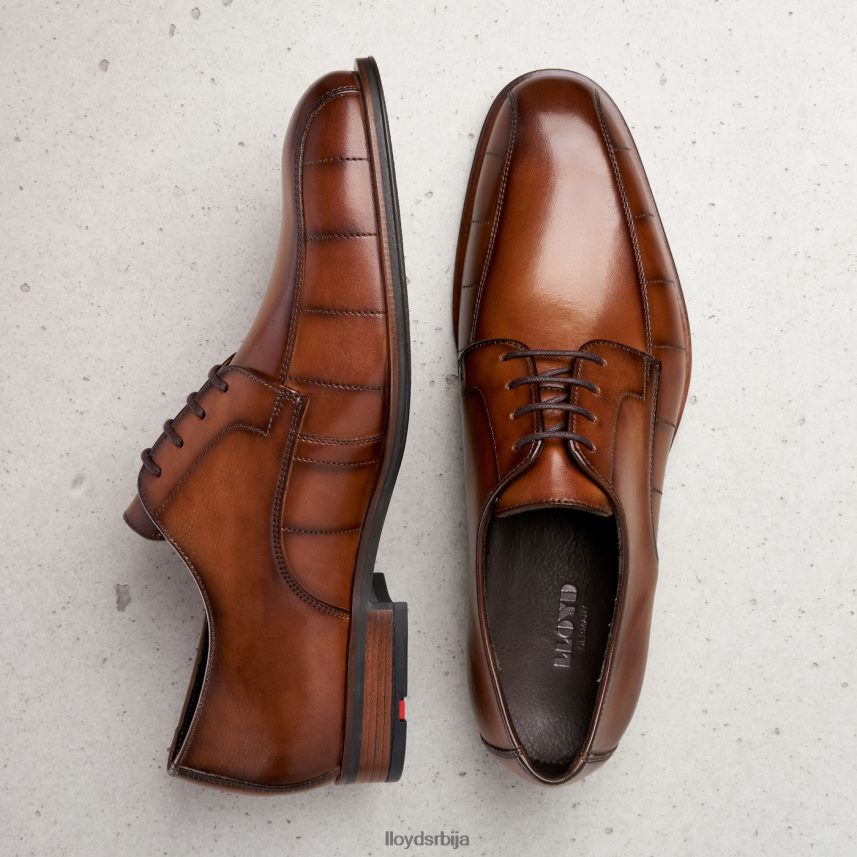 поздрав мушкарци D0806T224 ципеле браон LLOYD