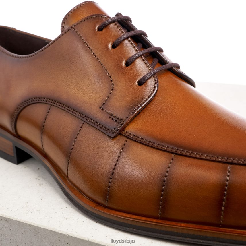 поздрав мушкарци D0806T224 ципеле браон LLOYD