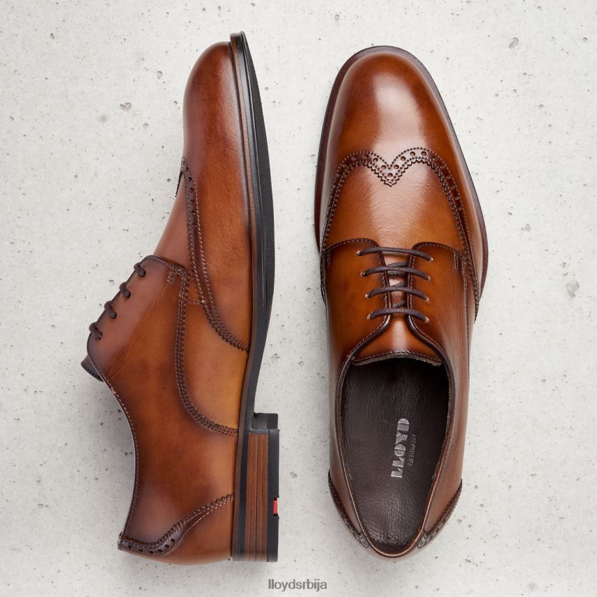 самсон мушкарци D0806T235 ципеле браон LLOYD