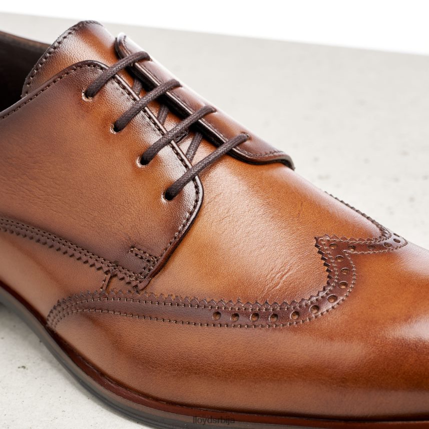 самсон мушкарци D0806T235 ципеле браон LLOYD