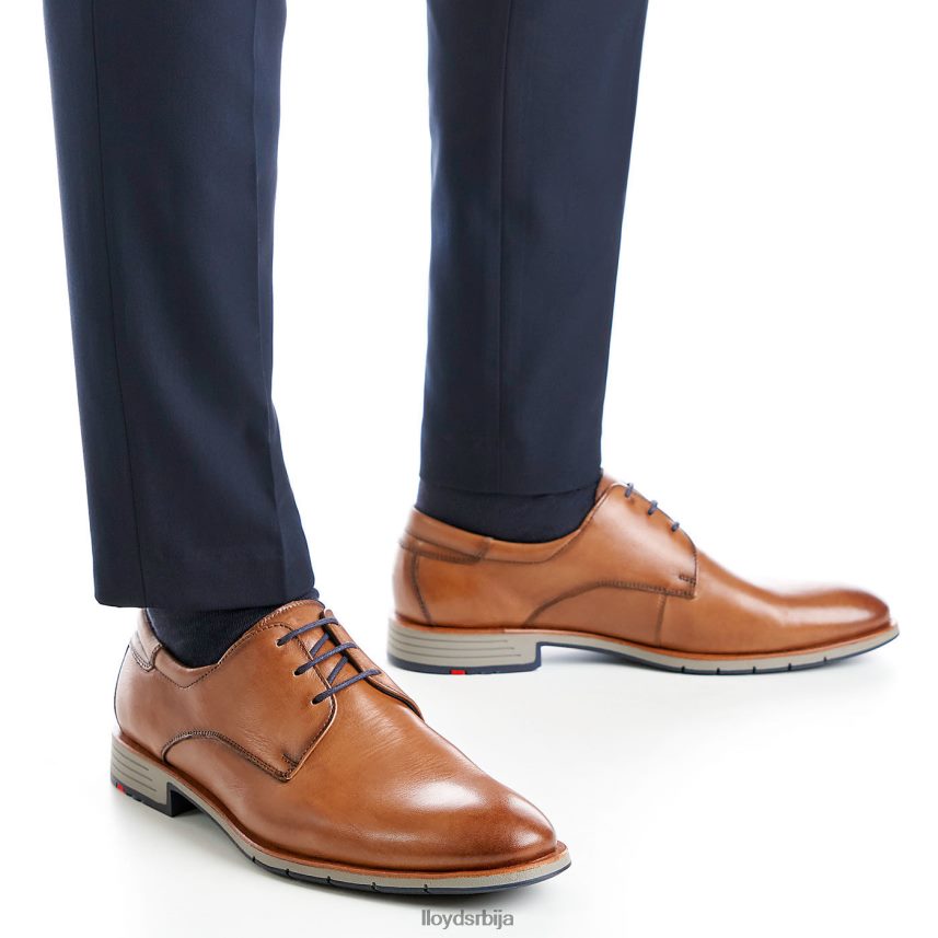 тамбо мушкарци D0806T23 ципеле браон LLOYD