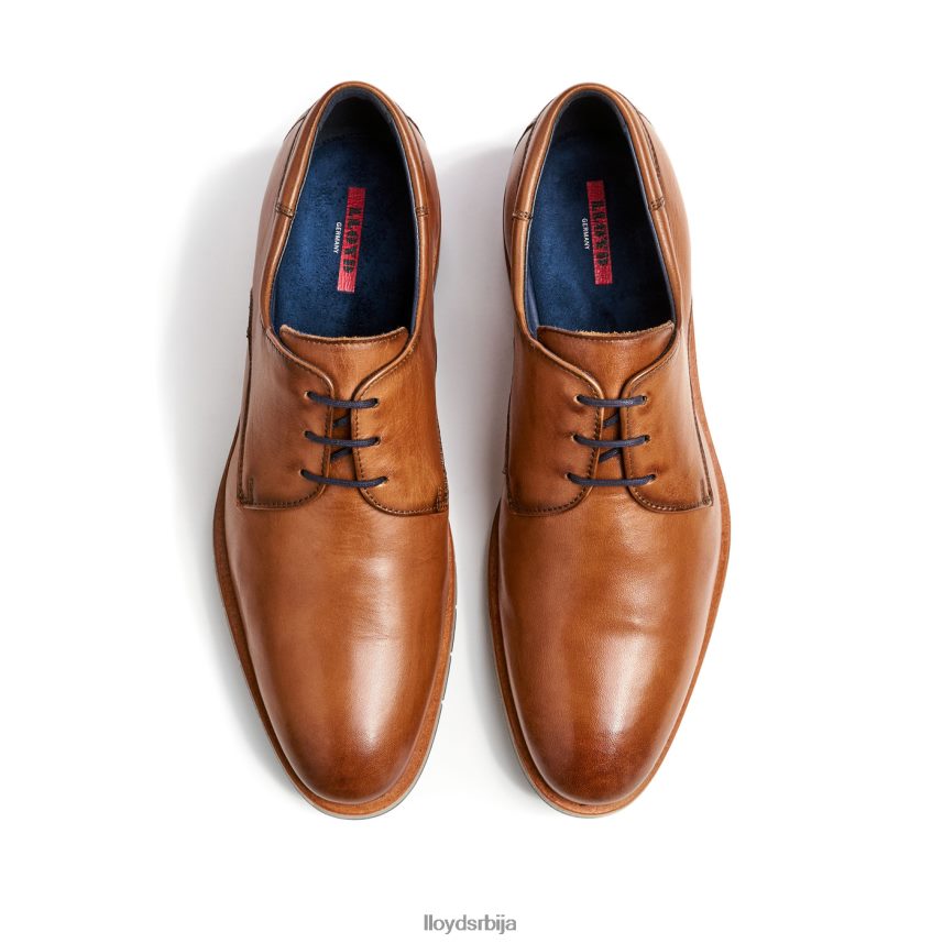 тамбо мушкарци D0806T23 ципеле браон LLOYD