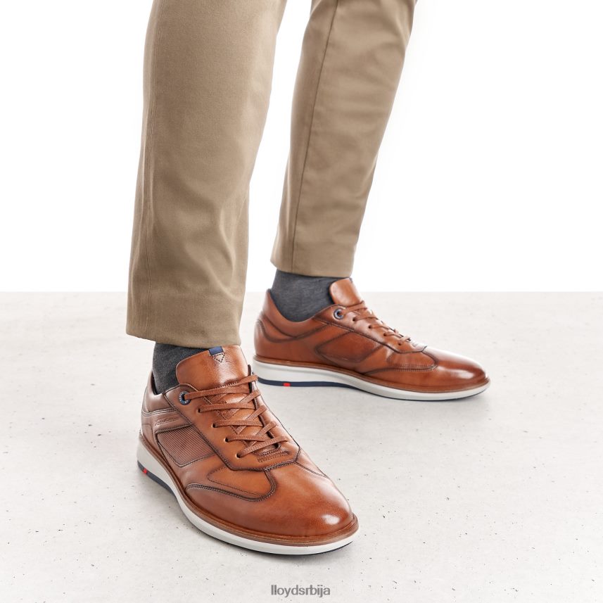 простирке мушкарци D0806T261 ципеле браон LLOYD