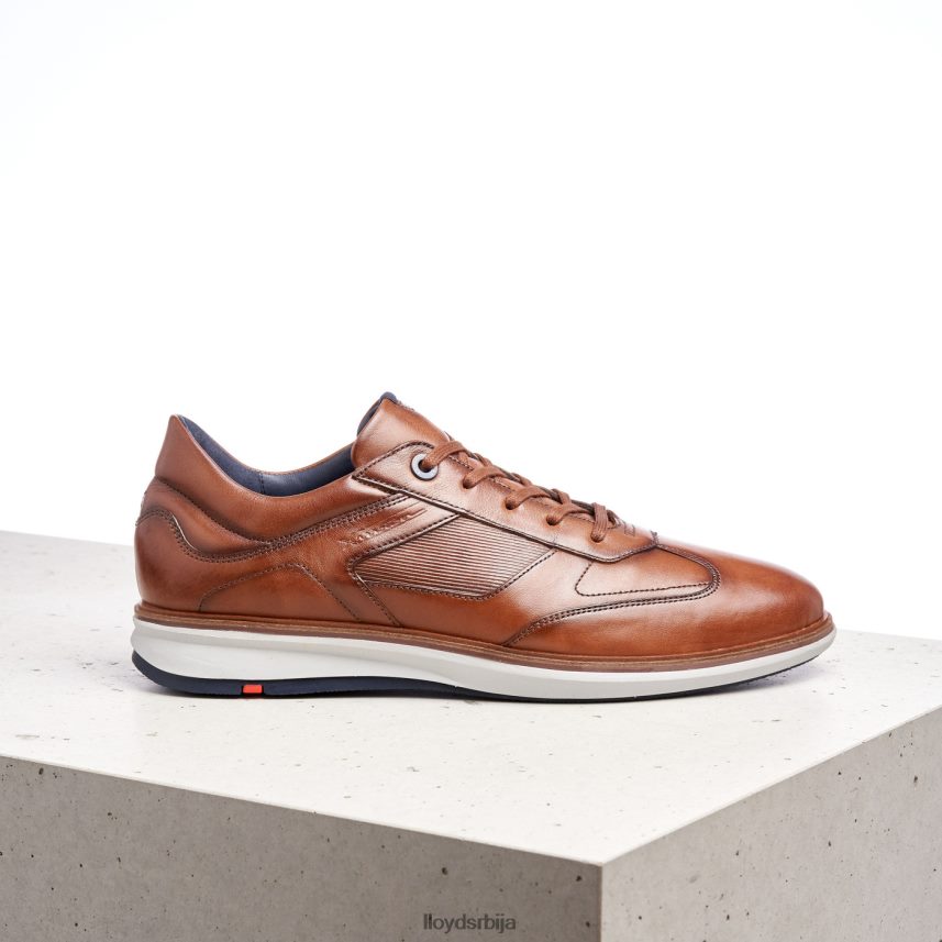 простирке мушкарци D0806T261 ципеле браон LLOYD