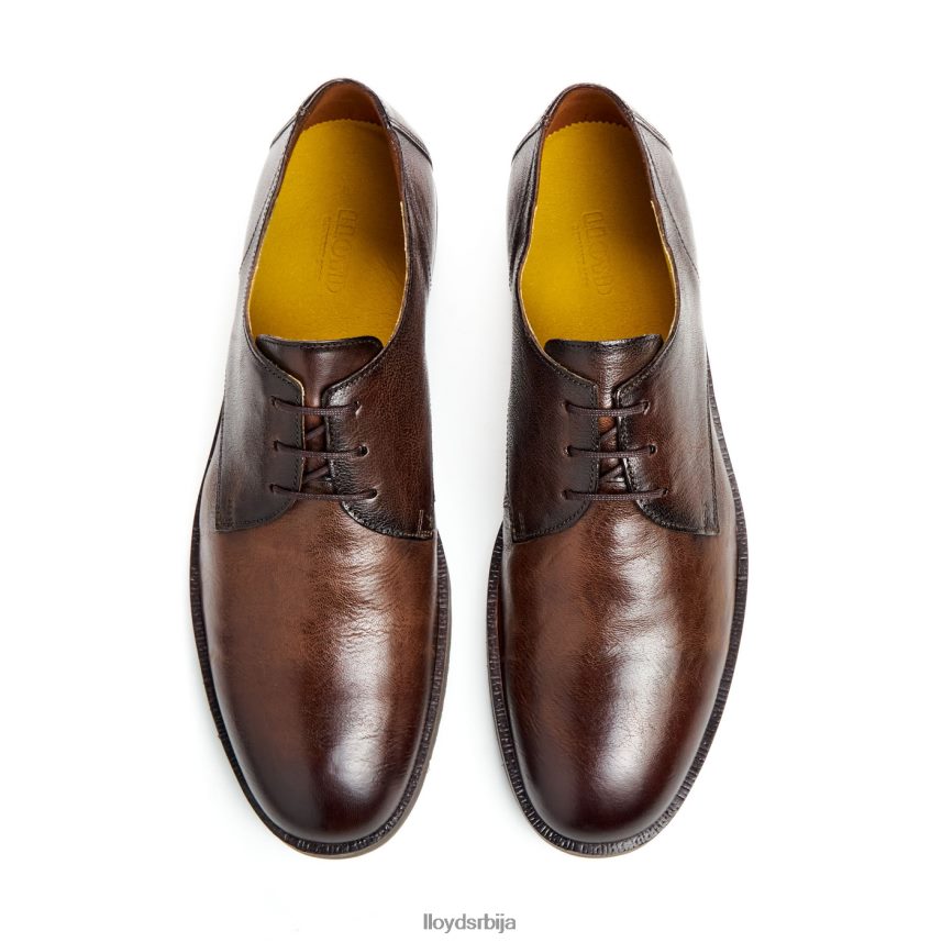 дориан мушкарци D0806T37 ципеле браон LLOYD