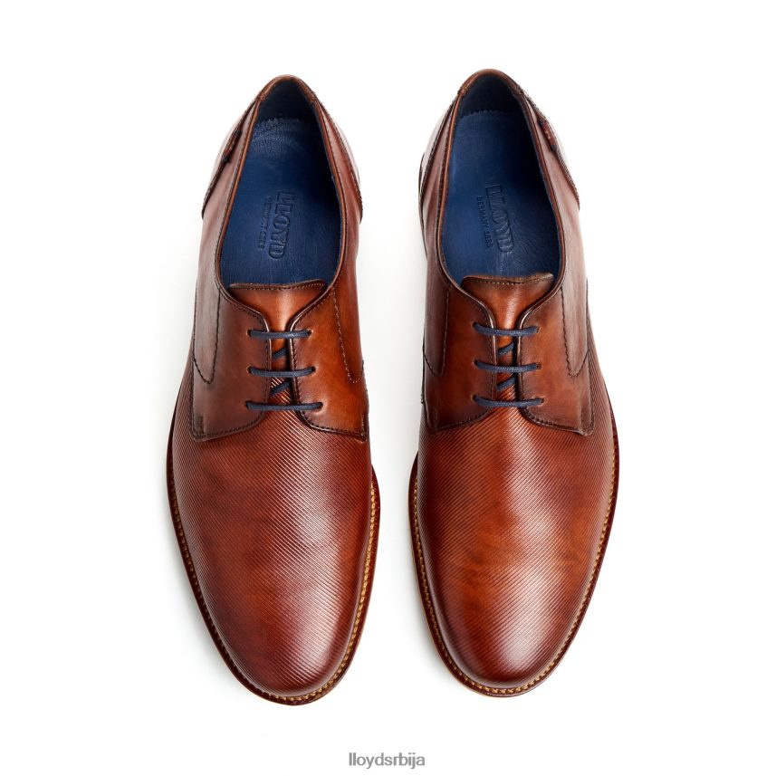 лавал мушкарци D0806T41 ципеле браон LLOYD