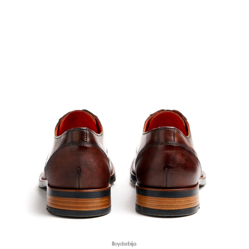 Јацксон мушкарци D0806T46 ципеле браон LLOYD