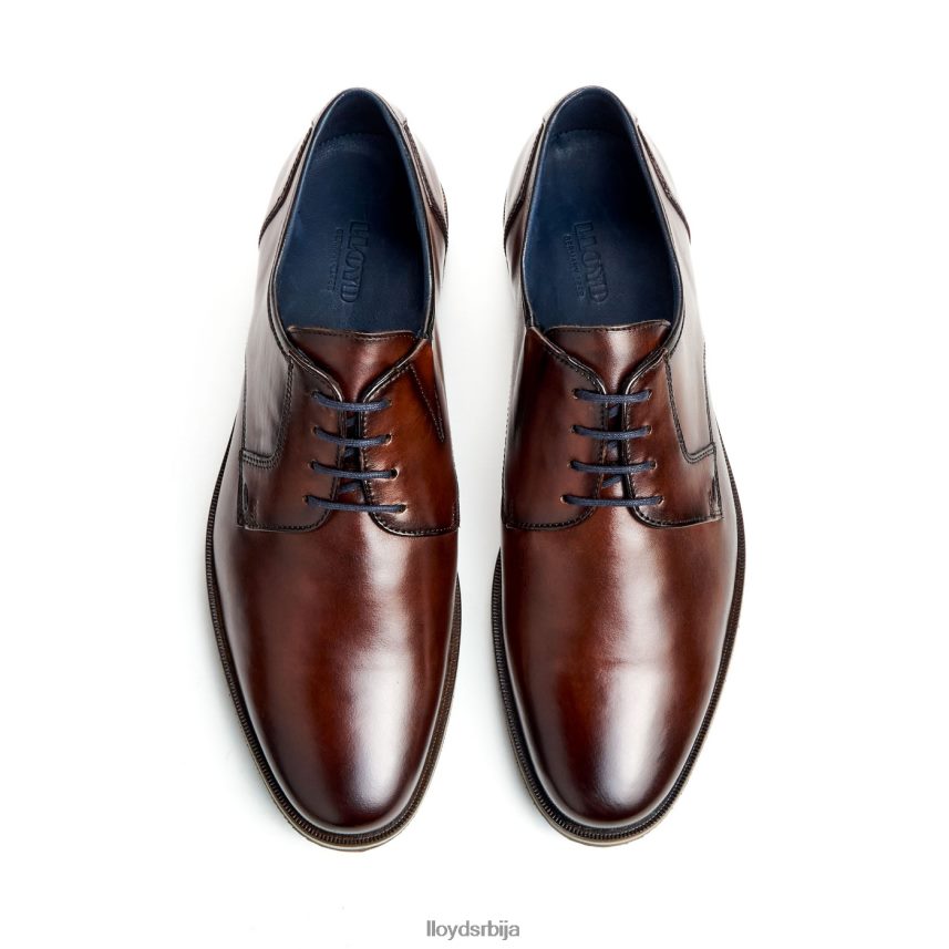 камп (ктравиде) мушкарци D0806T53 ципеле браон LLOYD