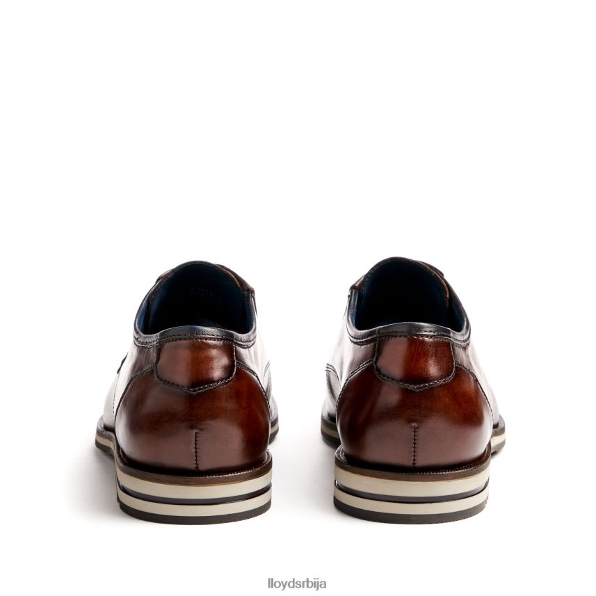 камп (ктравиде) мушкарци D0806T53 ципеле браон LLOYD