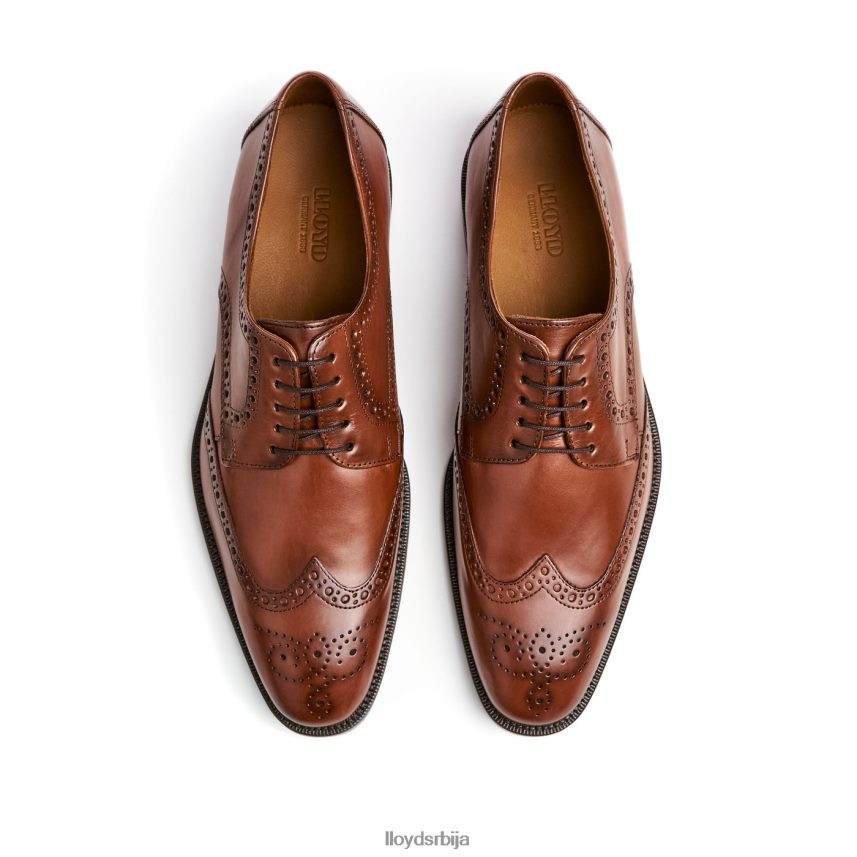 луциен мушкарци D0806T574 ципеле браон LLOYD