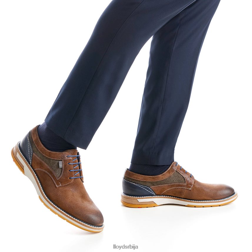 даррис мушкарци D0806T588 ципеле браон LLOYD