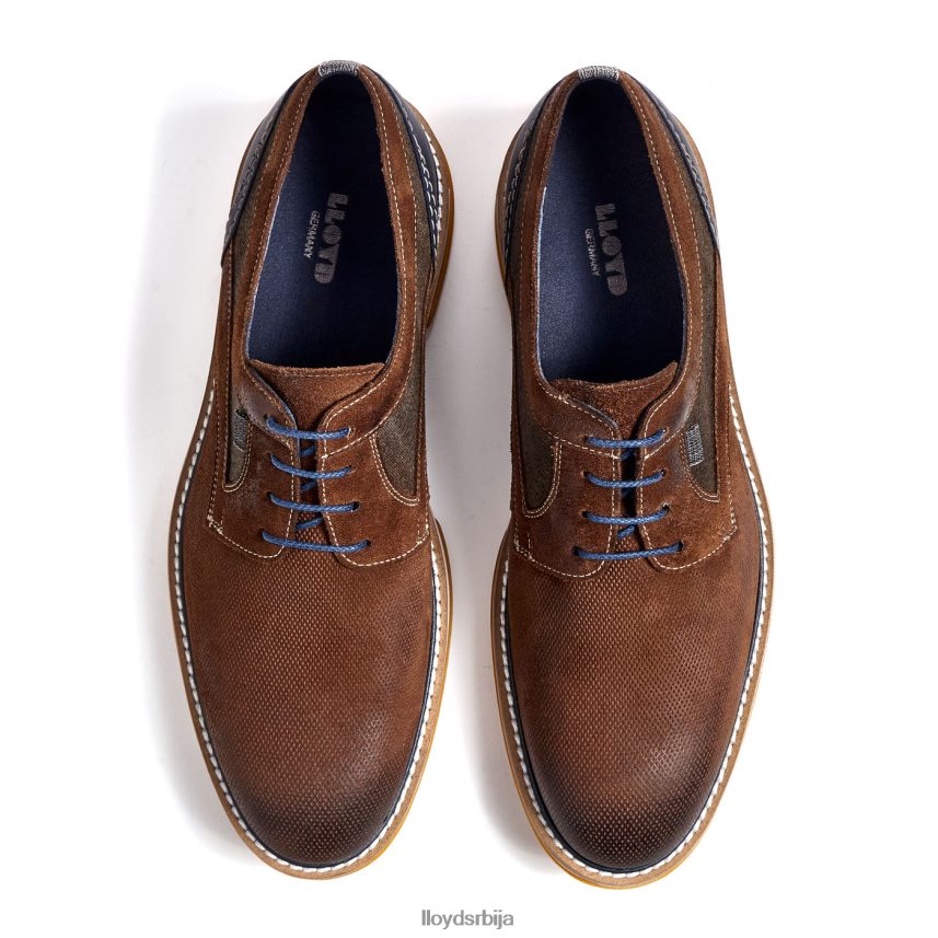 даррис мушкарци D0806T588 ципеле браон LLOYD