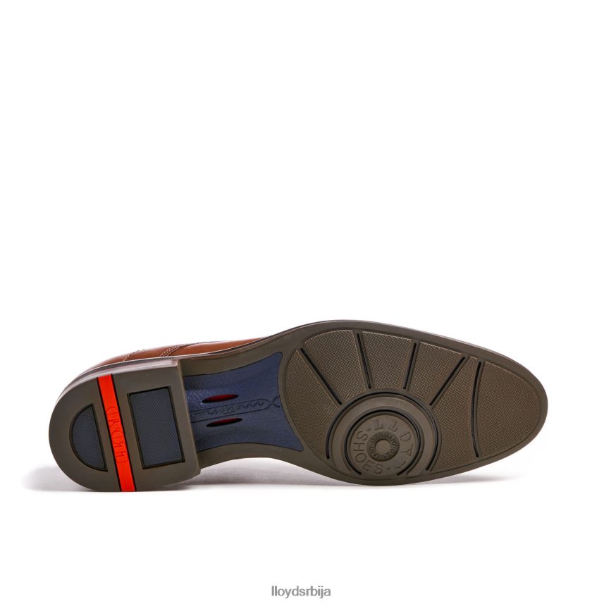 милан мушкарци D0806T5 ципеле браон LLOYD