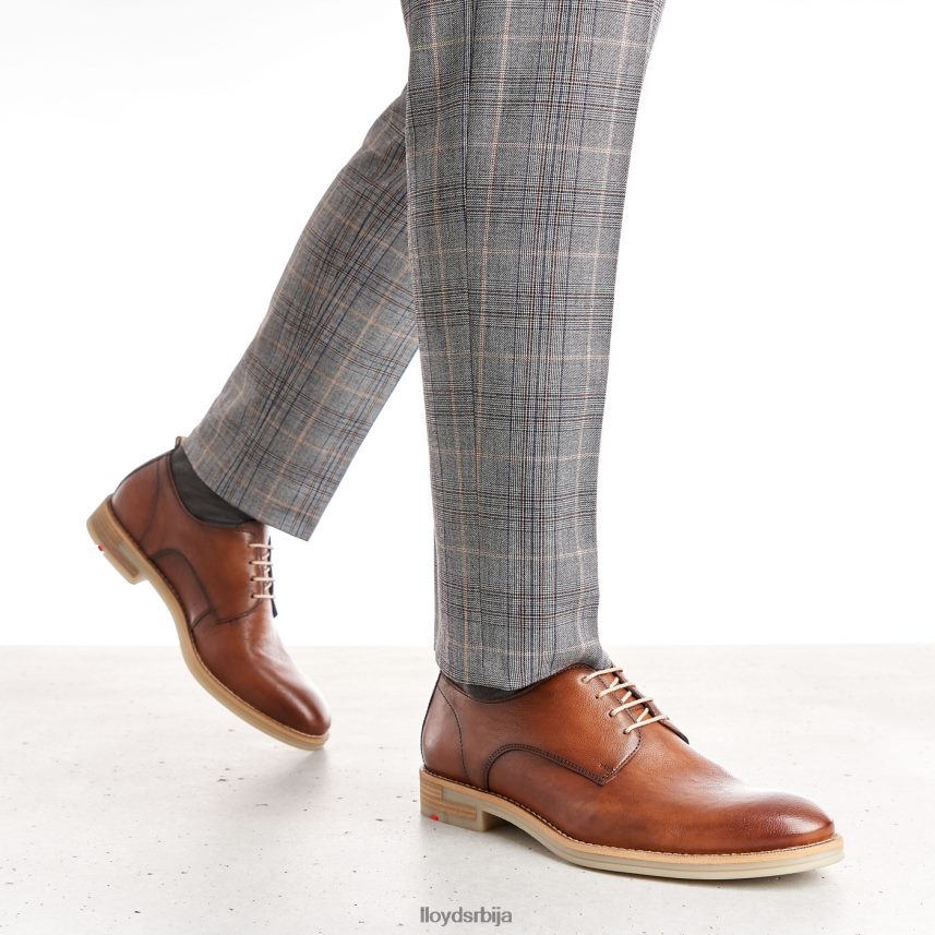 дакота мушкарци D0806T608 ципеле браон LLOYD