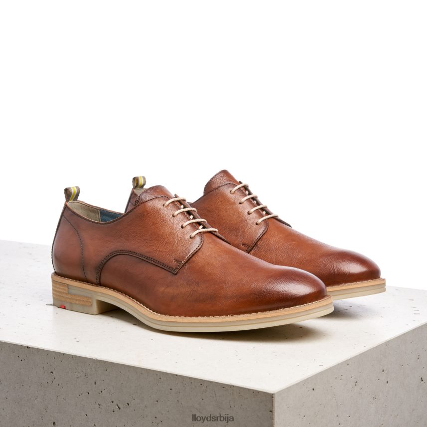 дакота мушкарци D0806T608 ципеле браон LLOYD