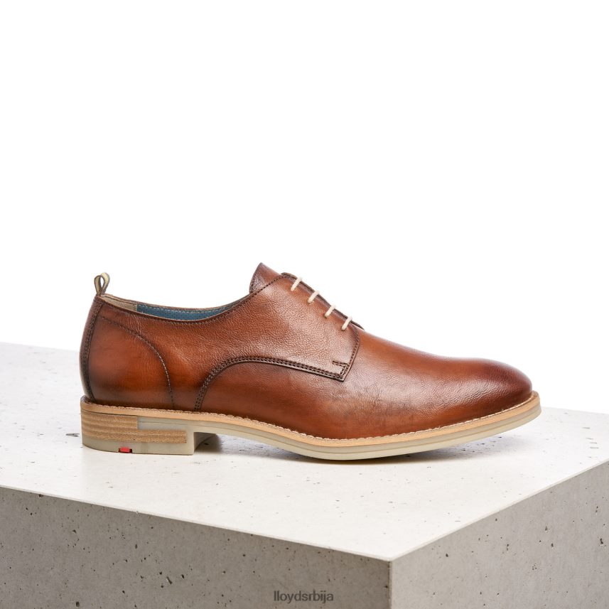 дакота мушкарци D0806T608 ципеле браон LLOYD