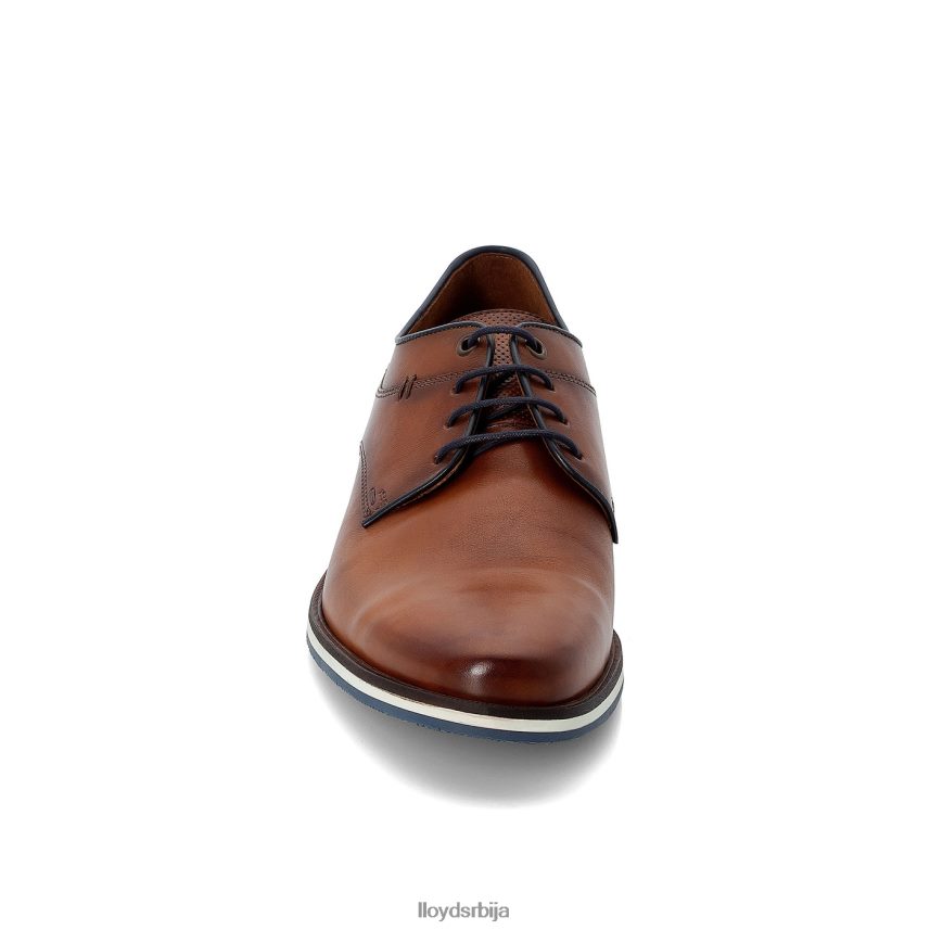 дањаан мушкарци D0806T609 ципеле браон LLOYD