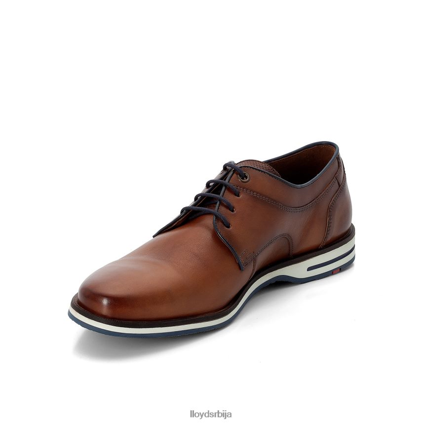 дањаан мушкарци D0806T609 ципеле браон LLOYD