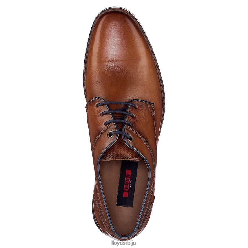 дањаан мушкарци D0806T609 ципеле браон LLOYD
