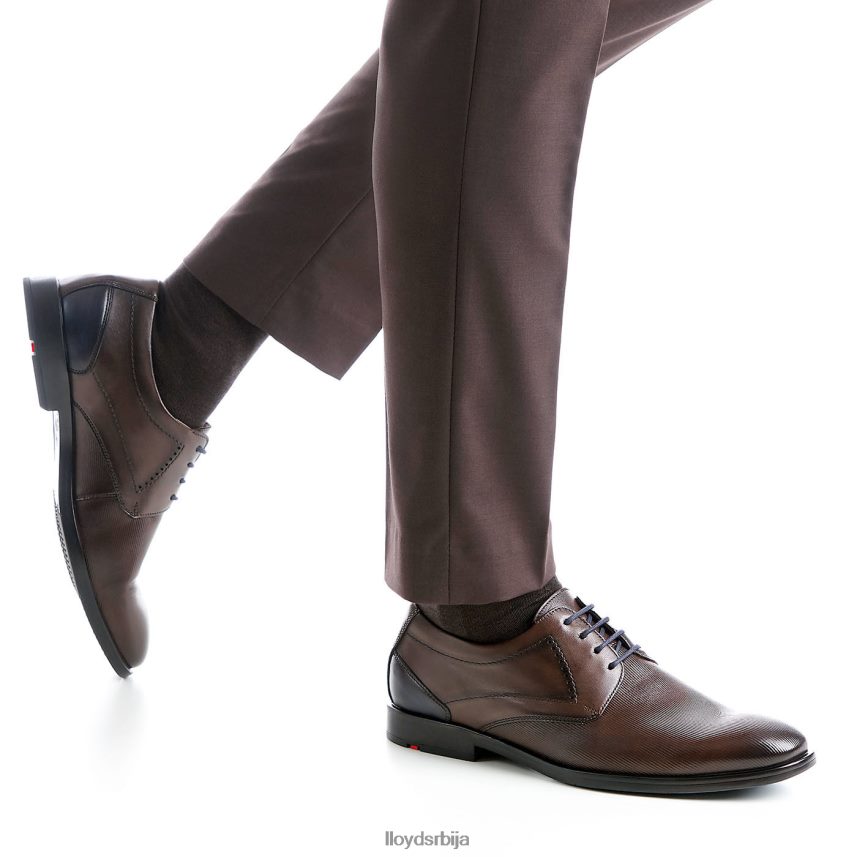 калмат (ктравиде) мушкарци D0806T627 ципеле браон LLOYD